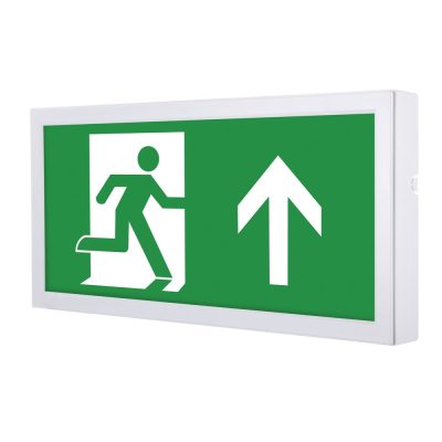 Emergency LED Exit Box 4W