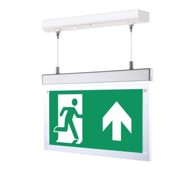 Emergency LED Twin Spot