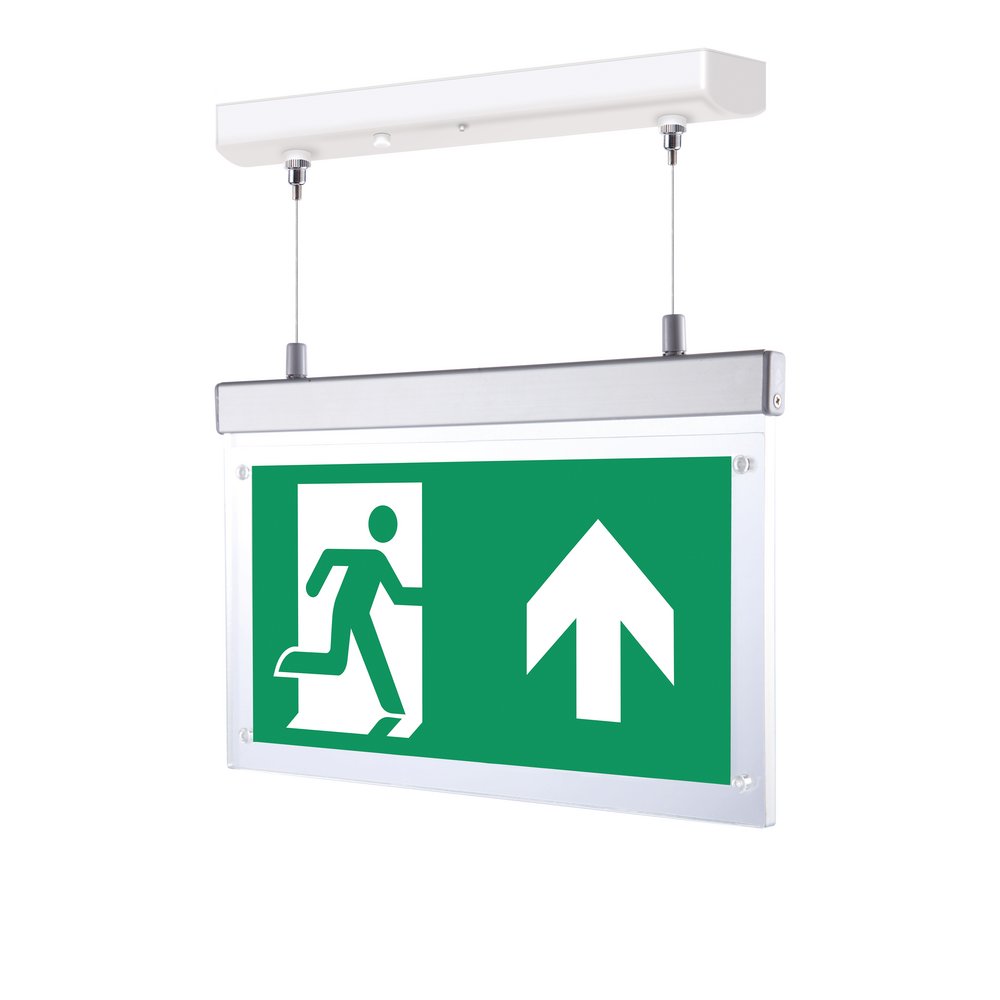 Emergency LED Twin Spot